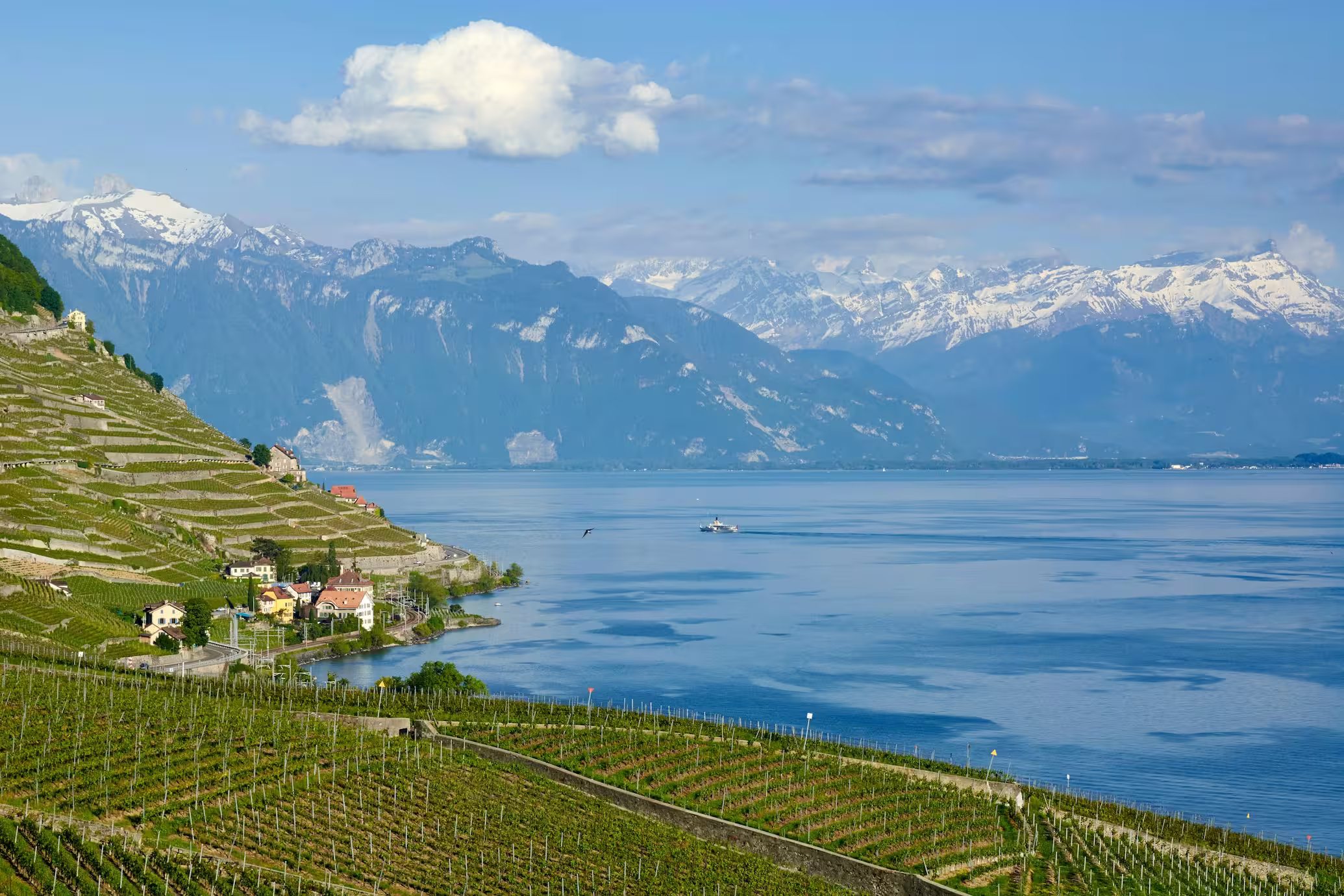 Lavaux vineyard terraces and Lake Geneva — photo by Oksana Bürki